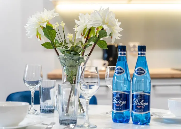 Exclusive New Town 슈체친